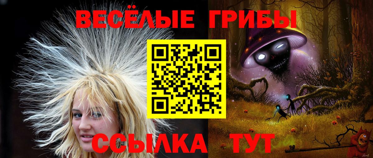 Галлюциногенные грибы мухоморы  Псилоцибиновые грибы прущие грибы  Петропавловск-Камчатский  Вход с VPN 